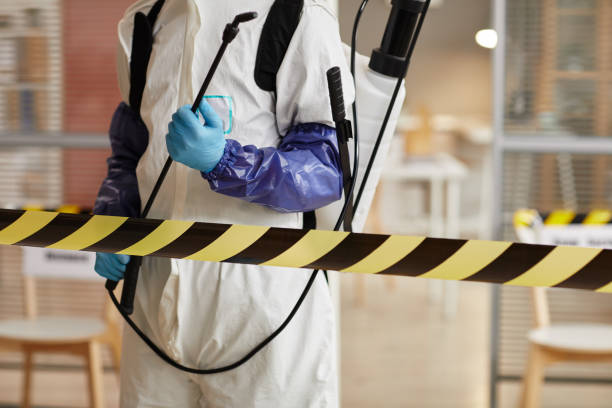 Professional Hoarding Cleanup technician working in Taft, TX